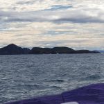 Islands as you approach Port Stephens