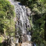 Tristania Falls