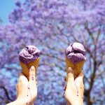 Jacaranda Purple, including the ice cream