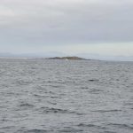 North West Solitary Island