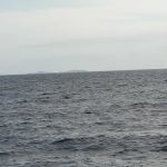 Distant view of North Solitary Island