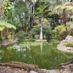 Pond near entrance