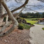 Glimpse of Japanese garden