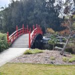 Japanese garden