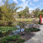 Japanese garden