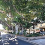 Main street of Sawtell