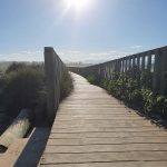 Another view of the boardwalk