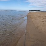 Where creek meets sea