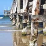 Piers of the jetty