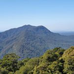 Views of Dorrigo National Park