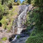 Tristania Falls