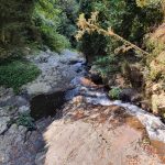 Tristania Falls