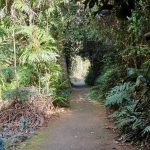 Wonga walk circuit