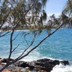 Views from Arrawarra Headland