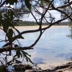 Corindi River