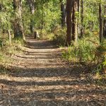 One of the paths