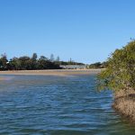 Another area popular with swimmers