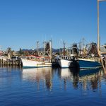 Fishing boats