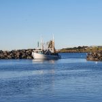 Fishing boats regularly coming and going