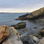 Around Muttonbird Island