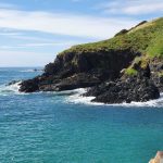 Around Muttonbird Island