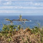 View of South Coff Island from Muttonbird Island