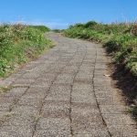 Path to top of Muttonbird Island