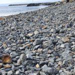 Looking across the southern breakwall