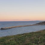 View from Muttonbird Island