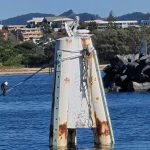 Pelican on Dolphin! (Dolphin is a structure to extending a berth (a berthing dolphin) or providing a mooring point (a mooring dolphin)