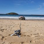 Coffs Harbour Jetty Beach