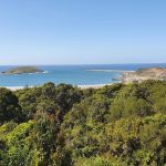 View of Harbour from Beacon Hill lookout