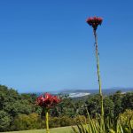 View from Beacon Hill lookout