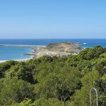 View of Harbour from Beacon Hill lookout