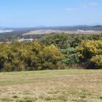 View of airport from Beacon Hill lookout