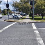 Ducks crossing the road; cars gave way