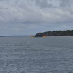 Closer view of the car ferry with birds in procession