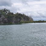 View of shoreline