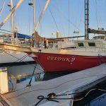Zeeduk - just near us in Townsville