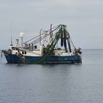 A fishing trawler arrived and anchored nearby first thing in the morning